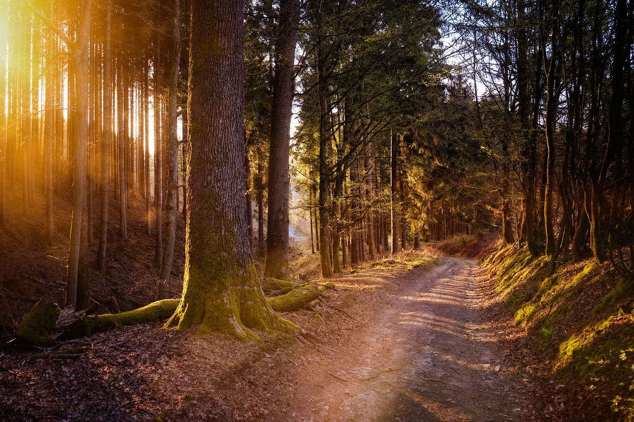 Zsammhalten auf da Brand NEU: Themenwanderungen rund um Ihrlerstein